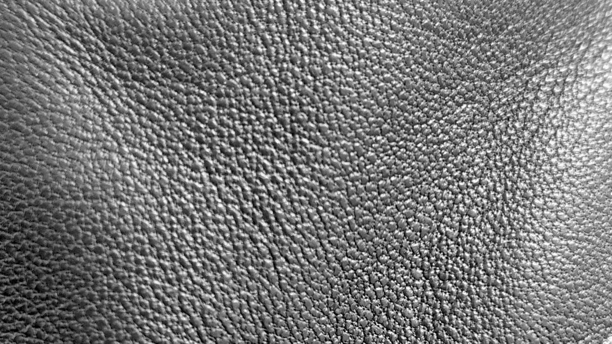 Black-and-white close-up of full-grain leather: an irregular, wandering grain, finer in some places and coarser in others.